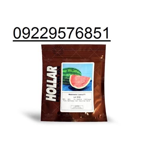 فروش بذر هندوانه هولار با قیمت مناسب در کرمان  در گروه خرید فروش بذر - انواع محصول کشاورزی گوجه کتان میوه درخت در یکمیوه -عکس1