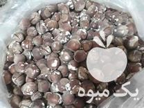 فروش فندق با پوست در تهران در گروه فندق - فروش عمده محصولات کشاورزی در یکمیوه -عکس1