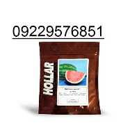 فروش بذر هندوانه هولار با قیمت مناسب در کرمان  در گروه خرید فروش بذر - انواع محصول کشاورزی گوجه کتان میوه درخت در یکمیوه