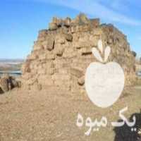 فروش کاه کلزا در سبزوار در گروه خوراک دام و طیور - پرواری شیری علوفه یونجه در یکمیوه