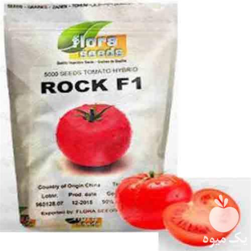 فروش بذر گوجه فرنگی راک در آذربایجان شرقی در گروه خرید فروش بذر - انواع محصول کشاورزی گوجه کتان میوه درخت در یکمیوه -عکس1