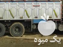 فروش کاه نخود کاه در سنندج در گروه خوراک دام و طیور - پرواری شیری علوفه یونجه در یکمیوه -عکس1