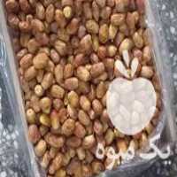 فروش 50 تن خرما زاهدی درجه یک در تهران
