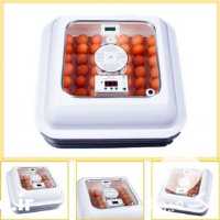 فروش دستگاه جوجه کشی 48 تایی هواباتور در تهران در گروه تجهیزات دام و طیور - خرید فروش نو دسته دوم در یکمیوه