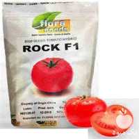 فروش بذر گوجه فرنگی راک در آذربایجان شرقی در گروه خرید فروش بذر - انواع محصول کشاورزی گوجه کتان میوه درخت در یکمیوه