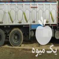 فروش کاه نخود کاه در سنندج در گروه خوراک دام و طیور - پرواری شیری علوفه یونجه در یکمیوه