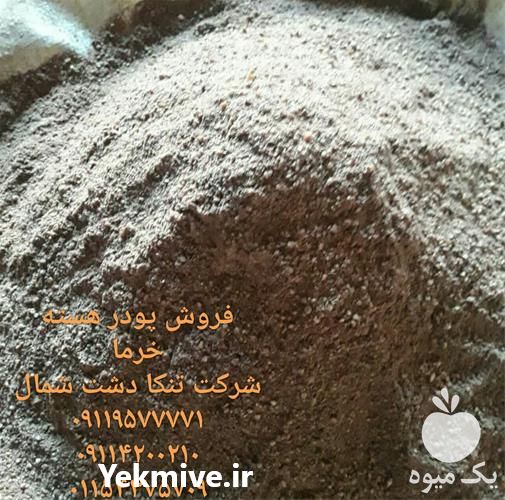 فروشنده پودر هسته خرما در تهران در گروه خرید فروش عمده خرما - کبکاب تازه زاهدی خشک خارک در یکمیوه -عکس1