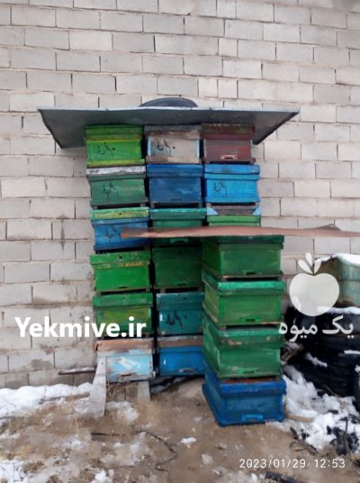 کندو زنبور عسل در شاهین دژ در گروه زنبورعسل - زنبورداری نوین صنعتی مدرن کندو در یکمیوه -عکس1