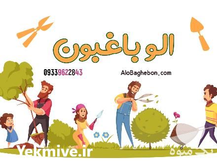 فروش خدمات باغبانی در منزل در تهران در گروه سازنده - گلخانه باغ مدرن سالن صنعتی سوله انبار در یکمیوه -عکس1