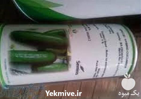 فروش بذر خیار رویال با قیمت مناسب در ایلام در گروه خرید فروش بذر - انواع محصول کشاورزی گوجه کتان میوه درخت در یکمیوه -عکس1