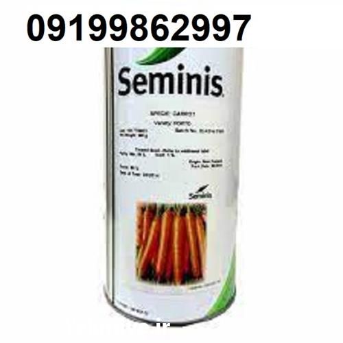 بذر هویج سمینیس پر فروش با میوه بازار پسند در تهران در گروه خرید فروش عمده هویج - فرنگی زرد صادراتی آبگیری قمی دزفول در یکمیوه -عکس1