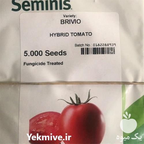 فروش بذر گوجه فرنگی بریویو اصل با کیفیت در اردبیل در گروه خرید فروش بذر - انواع محصول کشاورزی گوجه کتان میوه درخت در یکمیوه -عکس1