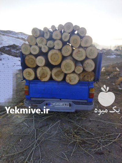 خرید انواع چوب ضایعات و صنعتی نقد در زنجان در گروه خرید فروش عمده چوب و زغال- زغال چوب گردو تبریزی خام در یکمیوه -عکس2