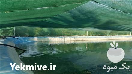 فروش توری سایبان گلخانه ای شید گلخانه در تهران در گروه سازنده - گلخانه باغ مدرن سالن صنعتی سوله انبار در یکمیوه -عکس1