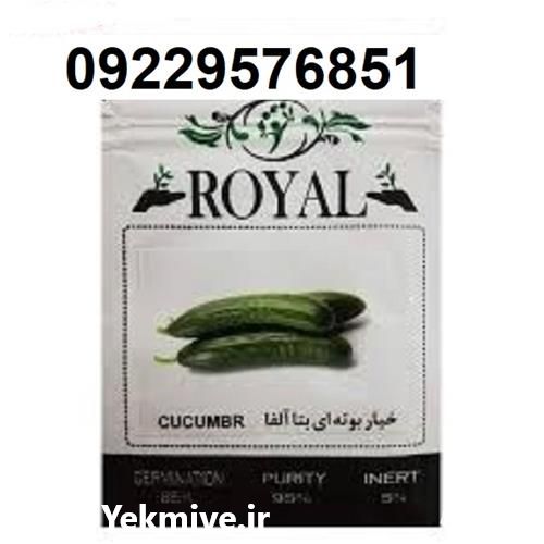 بذر خیار رویال پرفروش اصل در خوزستان در گروه خرید فروش بذر - انواع محصول کشاورزی گوجه کتان میوه درخت در یکمیوه -عکس1