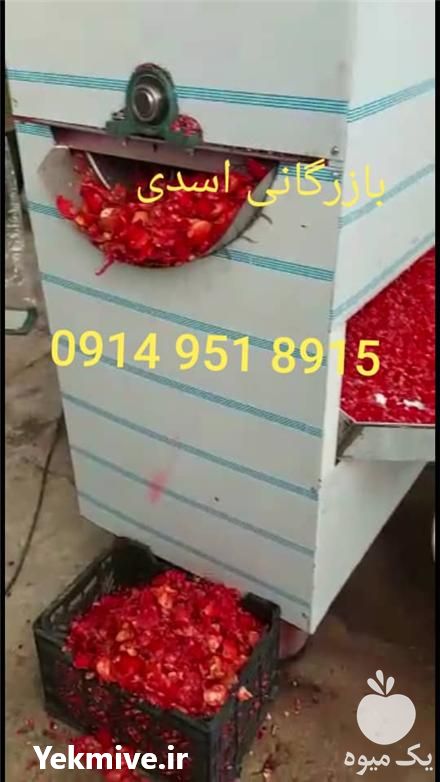 فروش آب انار گیری دستگاه انار دون کن با درصد آب گیری بالا در تهران در گروه خرید فروش ابزار ها و تجهیزات کشاورزی - دستی برقی ماشینی بیل کلنگ در یکمیوه -عکس1