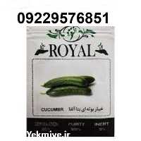 بذر خیار رویال پرفروش اصل در خوزستان در گروه خرید فروش بذر - انواع محصول کشاورزی گوجه کتان میوه درخت در یکمیوه