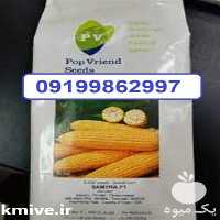 فروش بذر ذرت سمیرا بازارپسند و شیرین در اصفهان در گروه خرید فروش بذر - انواع محصول کشاورزی گوجه کتان میوه درخت در یکمیوه