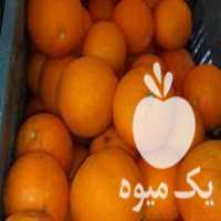 خریدار پرتقال تامسون خونی در ساری در گروه خرید فروش عمده پرتقال - پرتقال رسمی تامسون خونی جنوب در یکمیوه
