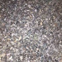 فروش کود خفاش در لار در گروه خرید فروش کود و مواد شیمیایی - اوره پتاس مرغی کمپوست آهن در یکمیوه