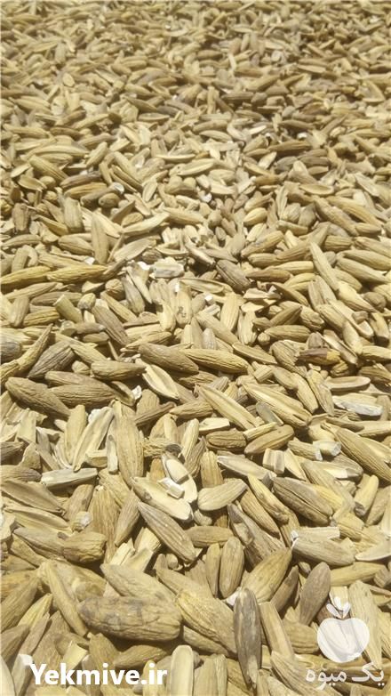 فروش بلوط در لردگان در گروه خوراک دام و طیور - پرواری شیری علوفه یونجه در یکمیوه -عکس1