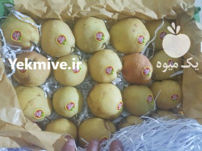 فروش عمده میوه گلابی درگزی در تهران در گروه خرید فروش عمده گلابی - شاه میوه نطنز قرمز خاردار در یکمیوه -عکس1