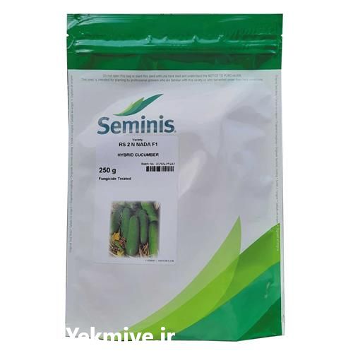 فروش بذر خیار ان 2 قوی در سمنان در گروه خرید فروش بذر - انواع محصول کشاورزی گوجه کتان میوه درخت در یکمیوه -عکس1