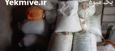 سلام بذر نخود فرنگی دستی در چهارباغ در گروه خرید فروش عمده نخود - فرنگی خام سبز فروش عمده در یکمیوه -عکس3