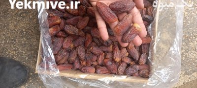 فروش خرمای مجول درجه لوکس در آذرشهر در گروه خرید فروش عمده خرما - کبکاب تازه زاهدی خشک خارک در یکمیوه -عکس4
