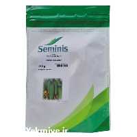 فروش بذر خیار ان 2 قوی در سمنان در گروه خرید فروش بذر - انواع محصول کشاورزی گوجه کتان میوه درخت در یکمیوه