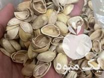 فروش پوست پسته در کرمان  در گروه پسته - کوهی شامی خام اکبری تازه کله قوچی در یکمیوه -عکس1