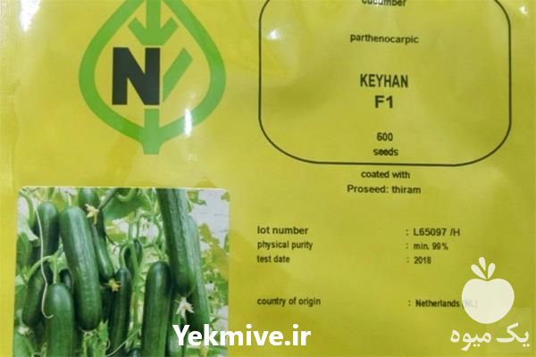 فروش بذر خیار کیهان با گارانتی در خراسان رضوی در گروه خرید فروش بذر - انواع محصول کشاورزی گوجه کتان میوه درخت در یکمیوه -عکس1