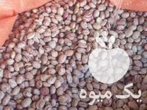 فروش برنج روغن حبوبات در مشهد در گروه خرید فروش عمده برنج - نیم دانه عنبر بو هاشمی کاظمی هندی پاکستانی در یکمیوه -عکس1