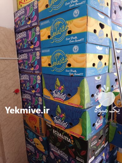 فروش کارتن موزی در چهارباغ در گروه خرید فروش انواع بسته بندی کاغذی - کارتن مقوا در یکمیوه -عکس1