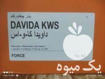 فروش بذر چغندر داویدا در نقده در گروه خرید فروش عمده چغندر - قند لبویی قرمز سفید در یکمیوه -عکس1