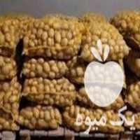 فروش سیب زمینی بذری فیروزکوه اردبیل درجه یک در ساری در گروه خرید فروش عمده سیب زمینی - زودرس دیررس آگریا اسپریت اردبیل همدان در یکمیوه