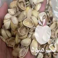 فروش پوست پسته در کرمان  در گروه پسته - کوهی شامی خام اکبری تازه کله قوچی در یکمیوه