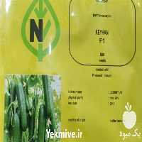 فروش بذر خیار کیهان با گارانتی در خراسان رضوی در گروه خرید فروش بذر - انواع محصول کشاورزی گوجه کتان میوه درخت در یکمیوه
