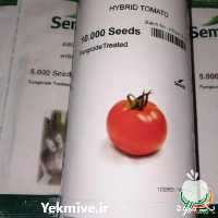 فروش بذر گوجه فرنگی 8320 در شیراز در گروه خرید فروش بذر - انواع محصول کشاورزی گوجه کتان میوه درخت در یکمیوه