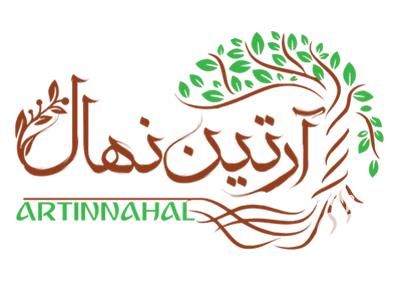 فروش نهال گردو در کردستان در گروه خرید فروش نهال - انواع گردو پسته بادام سلطانی انگور در یکمیوه -عکس1