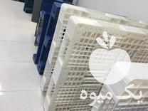 تولید و فروش پالت پلاستیکی در دولت آباد در گروه خرید و فروش پالت پلاستیکی - پالت چوبی در یکمیوه -عکس1