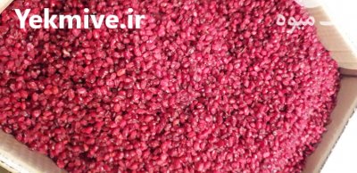 زرشک پفکی در رشت در گیلان در گروه خرید و فروش زرشک در یکمیوه -عکس2