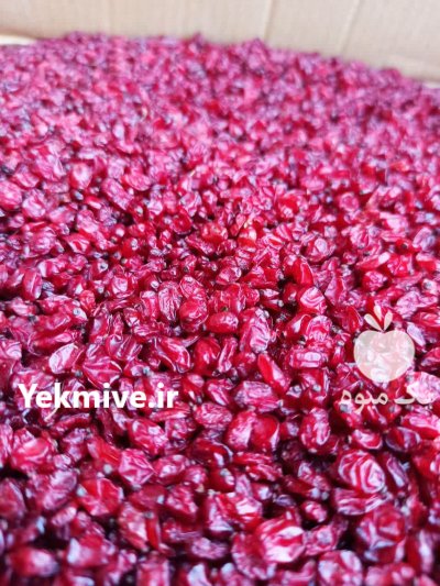 زرشک پفکی در رشت در گیلان در گروه خرید و فروش زرشک در یکمیوه -عکس4