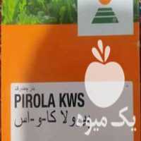 فروش بذر چغندر اورجینال در بیستون در گروه خرید فروش عمده چغندر - قند لبویی قرمز سفید در یکمیوه