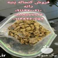 قیمت و فروش کنجاله پنبه دانه در مازندران در گروه خوراک دام و طیور - پرواری شیری علوفه یونجه در یکمیوه