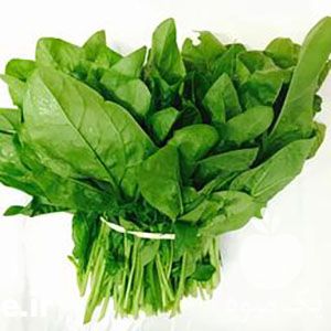 خرید بذر اسفناج با قیمت عالی در تهران در گروه خرید فروش بذر - انواع محصول کشاورزی گوجه کتان میوه درخت در یکمیوه -عکس1