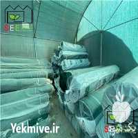 فروش شید گلخانه ای در تهران در گروه خرید فروش انواع پوشش ها و ورق ها - پلی استر پلی کربنات نایلون در یکمیوه