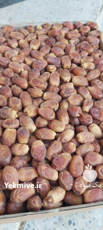 فروش عمده خرما زاهدی در قائم شهر در گروه خرید فروش عمده خرما - کبکاب تازه زاهدی خشک خارک در یکمیوه -عکس1