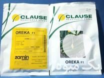 بذر خیار اورکا کلوز فرانسه در کرج در گروه خرید و فروش بذر خیار در یکمیوه -عکس1