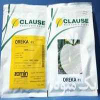 بذر خیار اورکا کلوز فرانسه در کرج در گروه خرید و فروش بذر خیار در یکمیوه